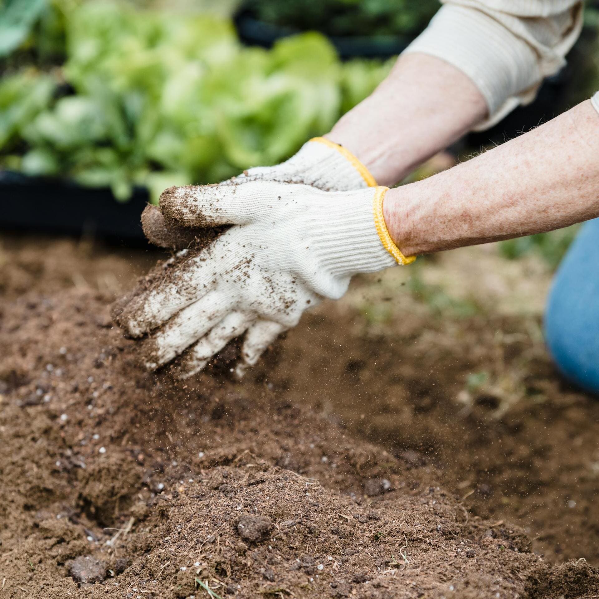 entretien espaces verts