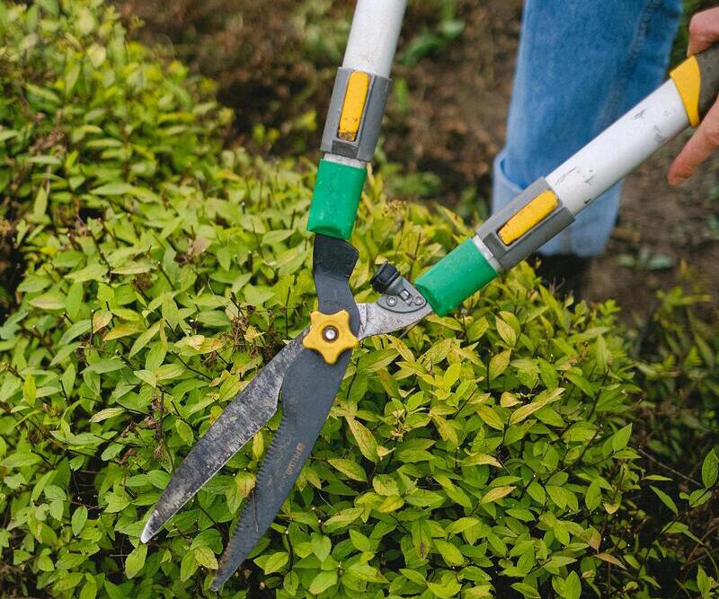 entretien espaces verts